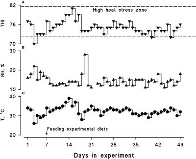 Rumen-protected zinc–methionine dietary inclusion alters dairy cow performances, and oxidative and inflammatory status under long-term environmental heat stress